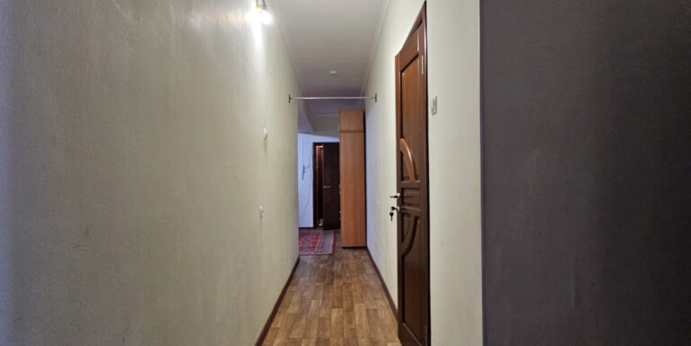 photo5471_254bd4761