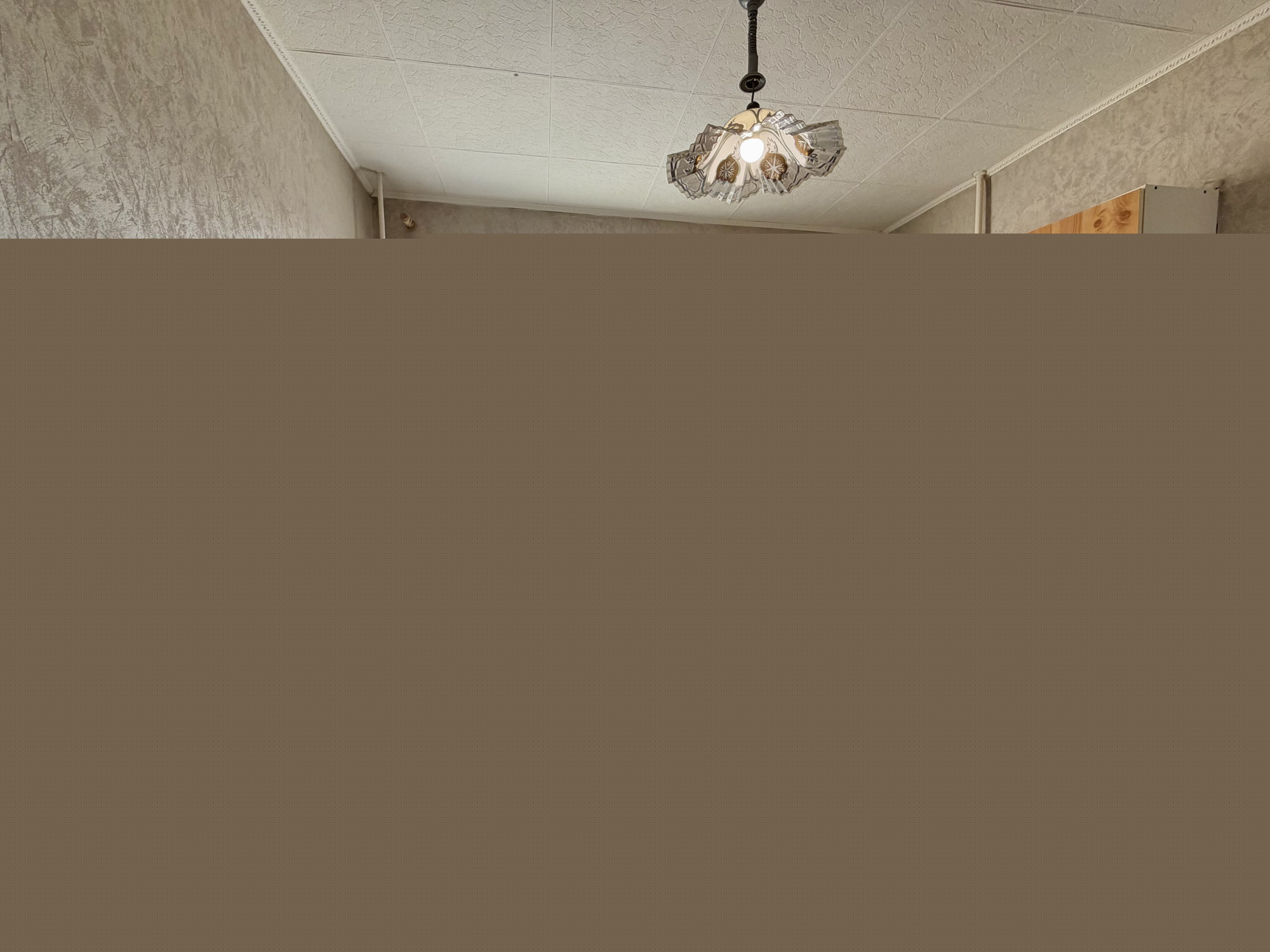 photo5818_d41f84f21